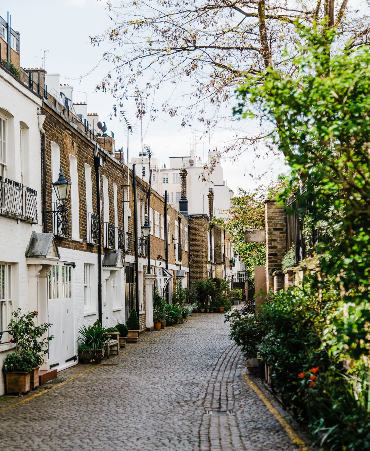 Terraced Houses